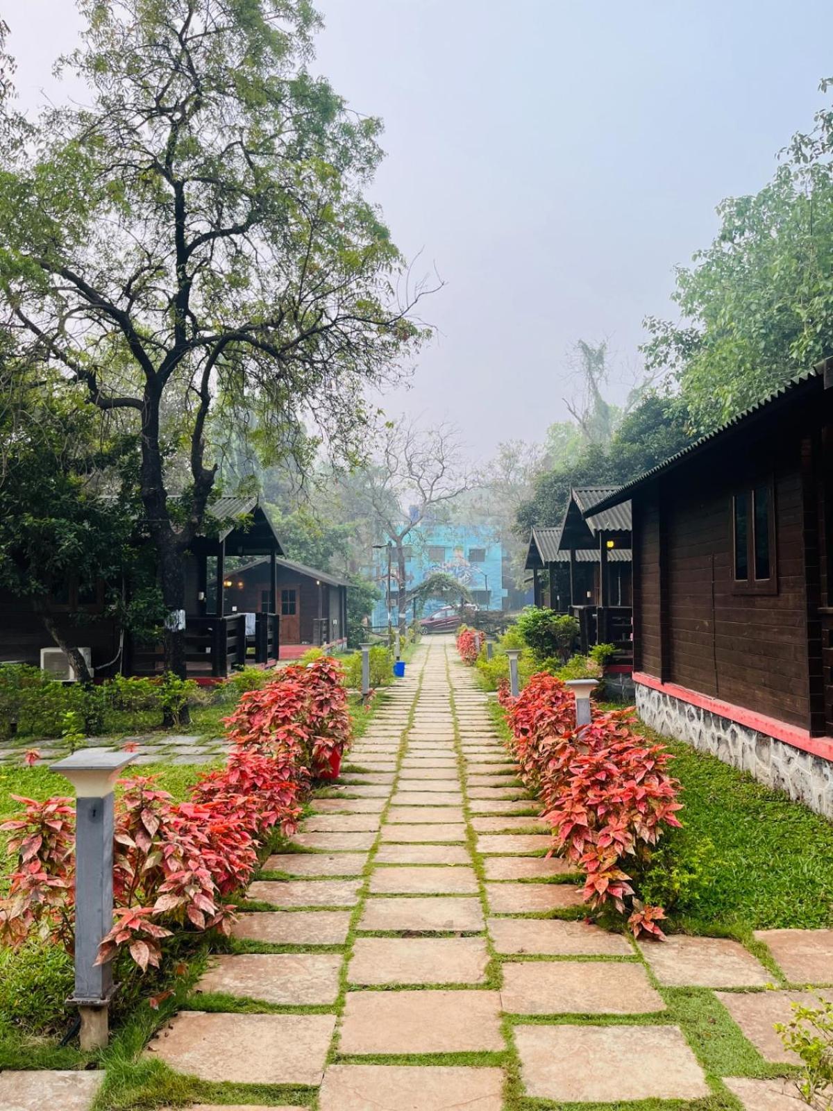 Cocorico Stay Ya! Cottages 알리바그 외부 사진