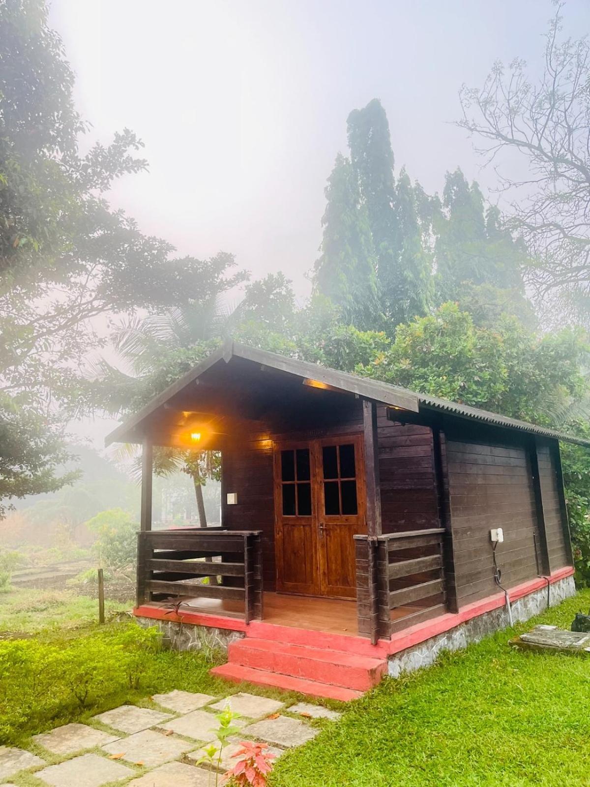 Cocorico Stay Ya! Cottages 알리바그 외부 사진